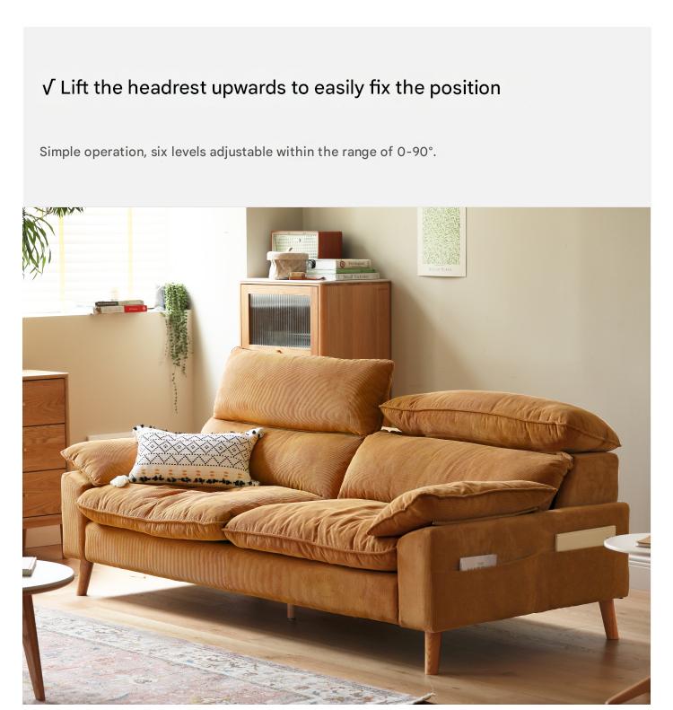 Ash Fabric Sofa Living Room.