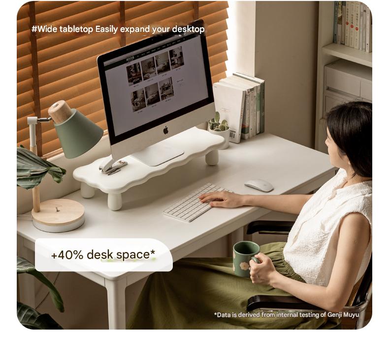 Birch Solid Wood Computer Elevated Desktop Storage Rack