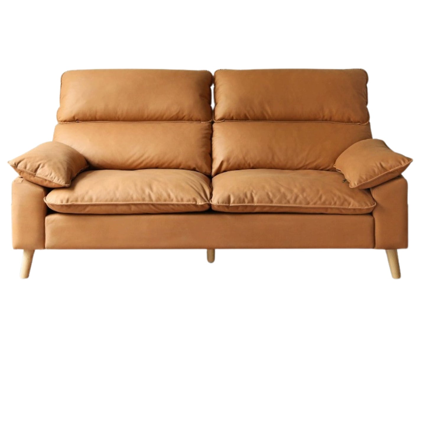 Ash Fabric Sofa Living Room.