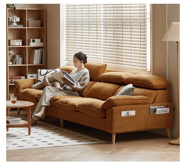 Ash Fabric Sofa Living Room.